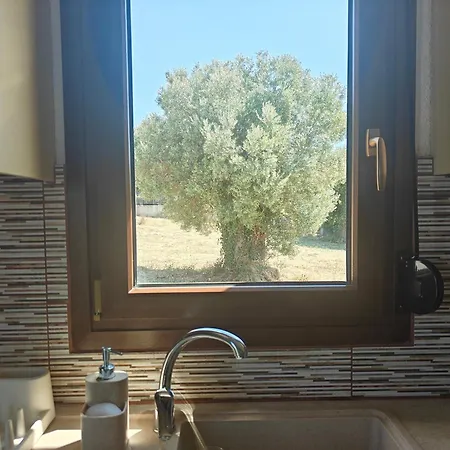 Appartamento Olive & Blue